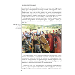 The Forgotten Battles n°21 - Sabis 57 BC  (in French)