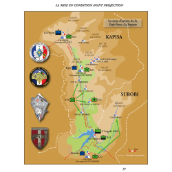 The Forgotten Battles n°24 - Afghanistan 2011-12 (in French)