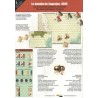 ALEA Magazine 38 - Sagrajas 1086: The Almoravids balance the Forces